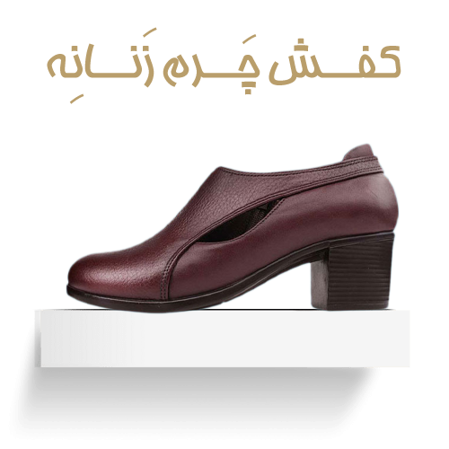 category-women-leather-shoes