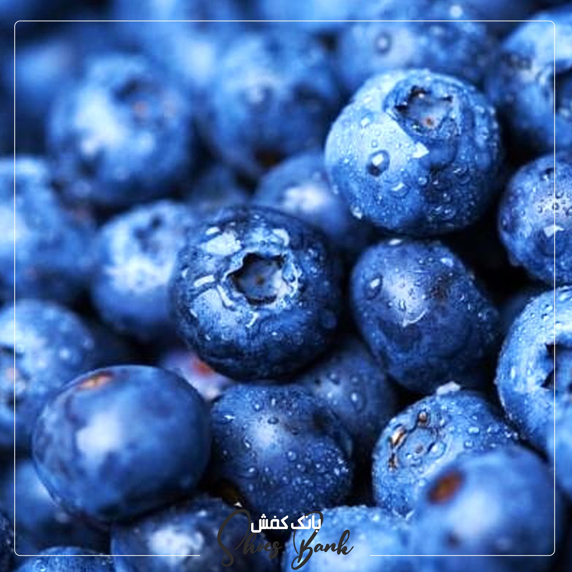 بلوبری