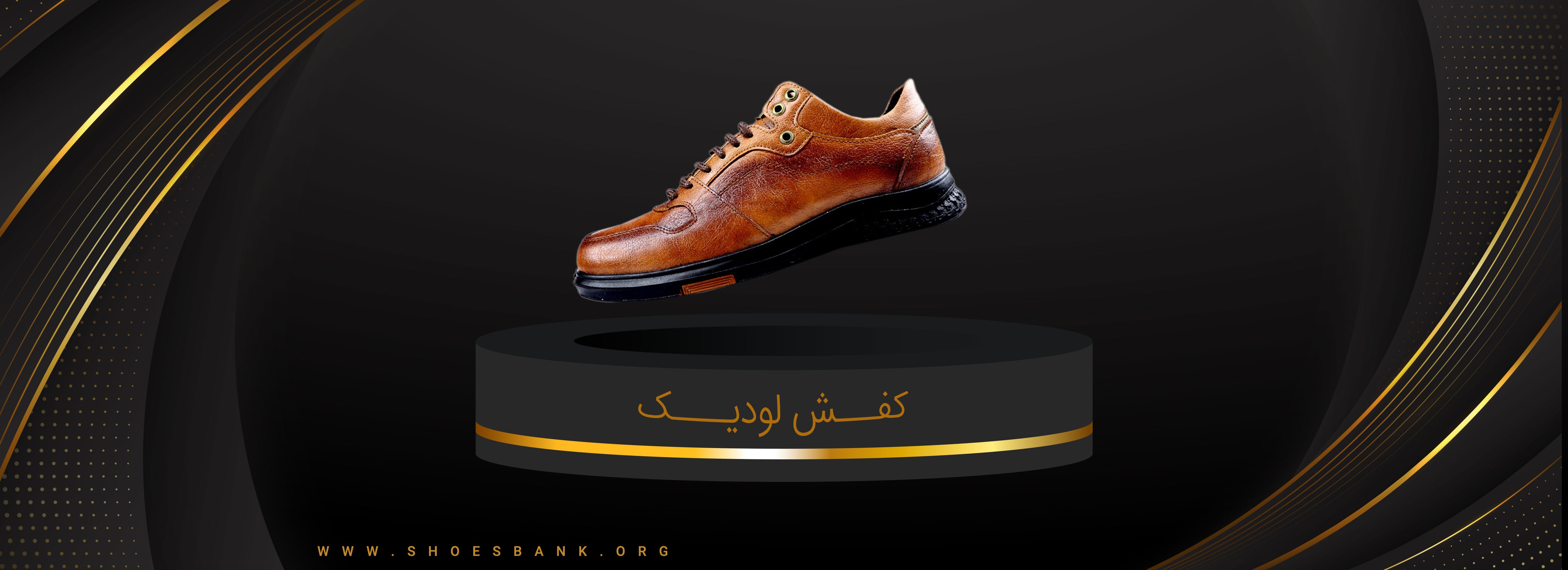 لودیک