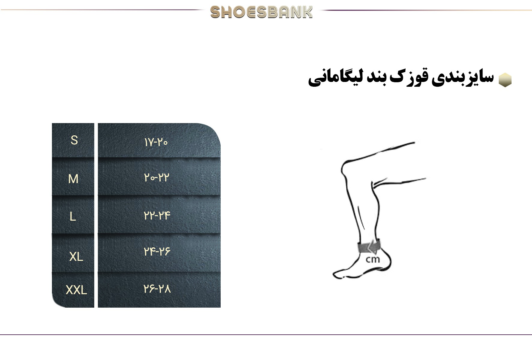 راهنمای سایز