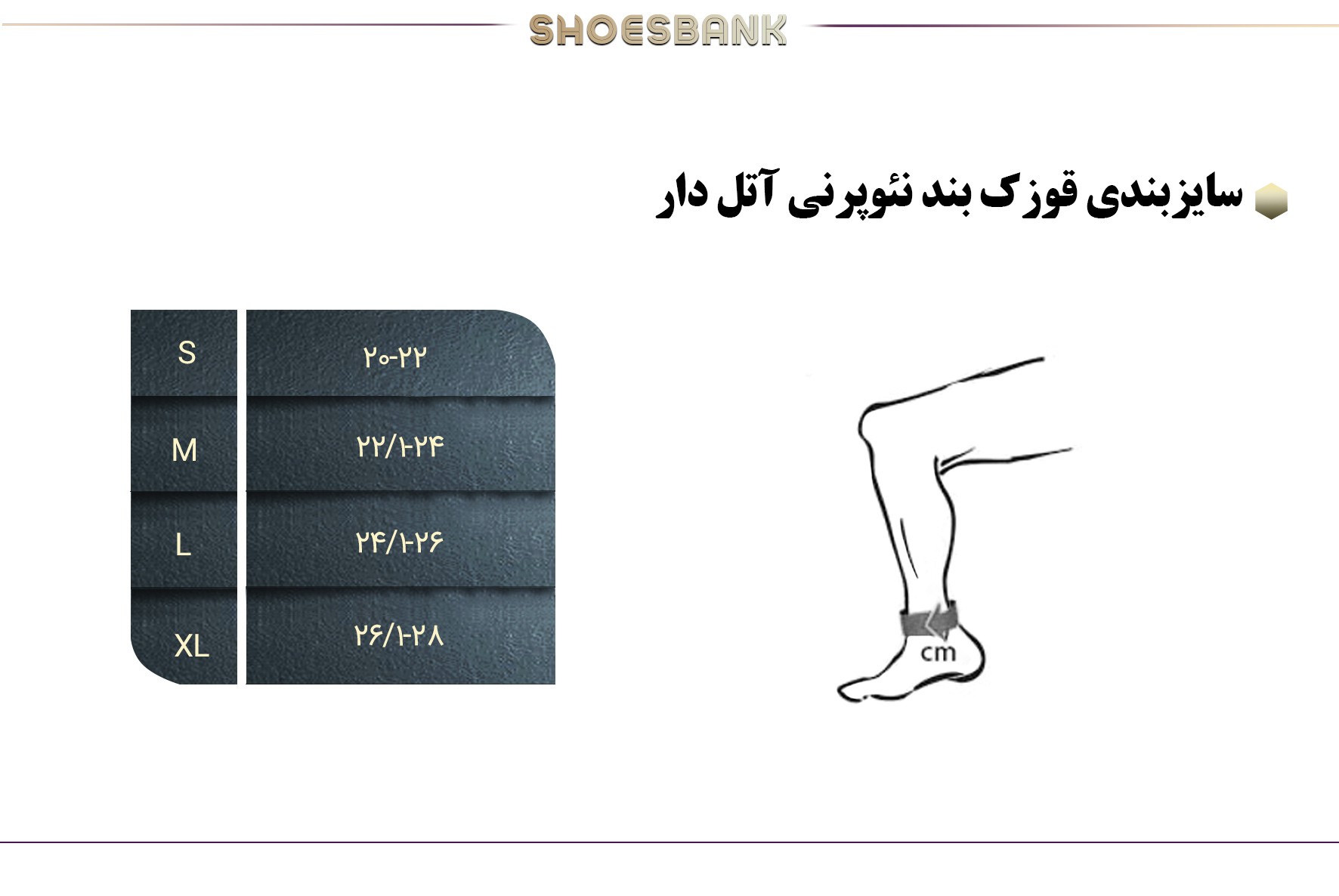 راهنمای سایز