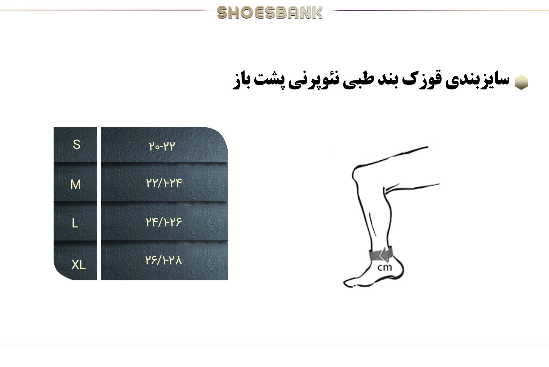 راهنمای سایز